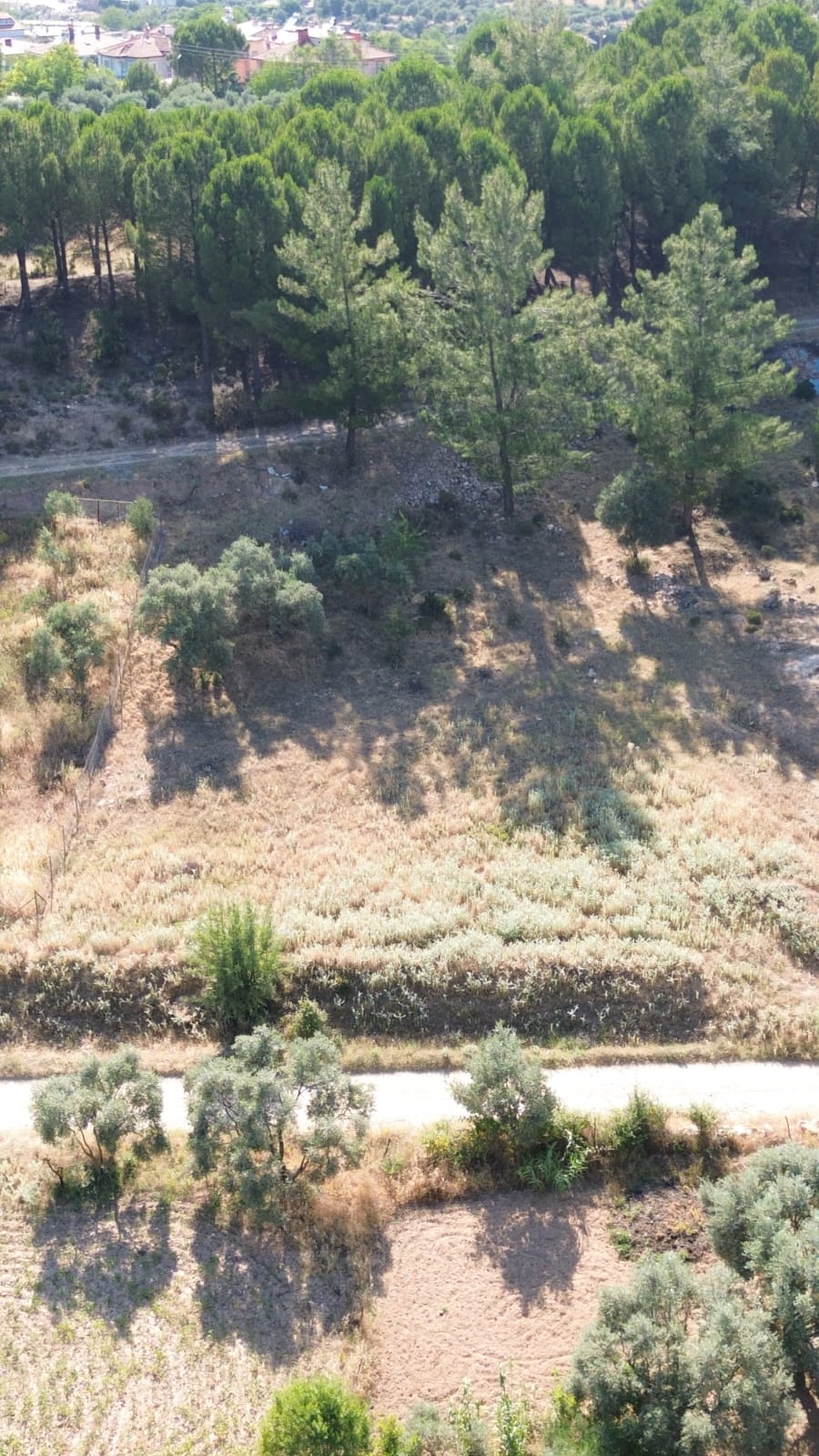 MUĞLA BAYIRDA İMARLI, İKİZ VİLLA İNŞAAT RUHSATI ALINMIŞ MÜSTAKİL 498M2 SATILIK ARSA